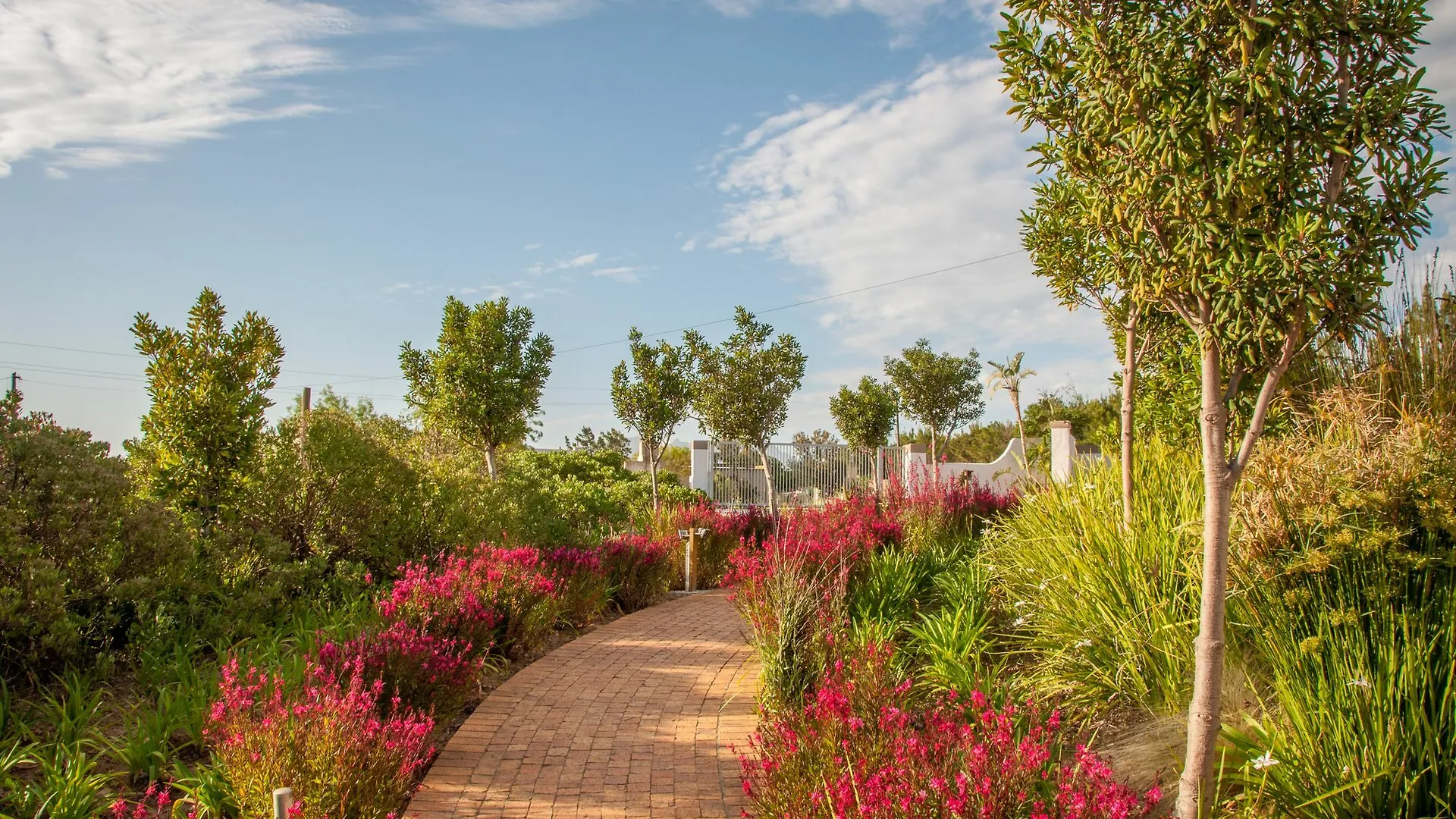 Wind-Rose Guest House Gordons Bay South Africa