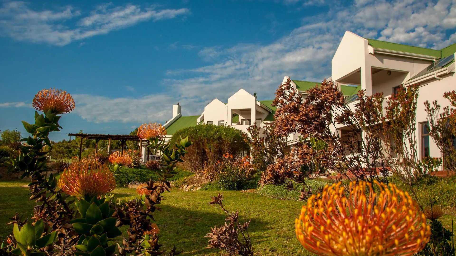 Wind-Rose Guest House Gordons Bay