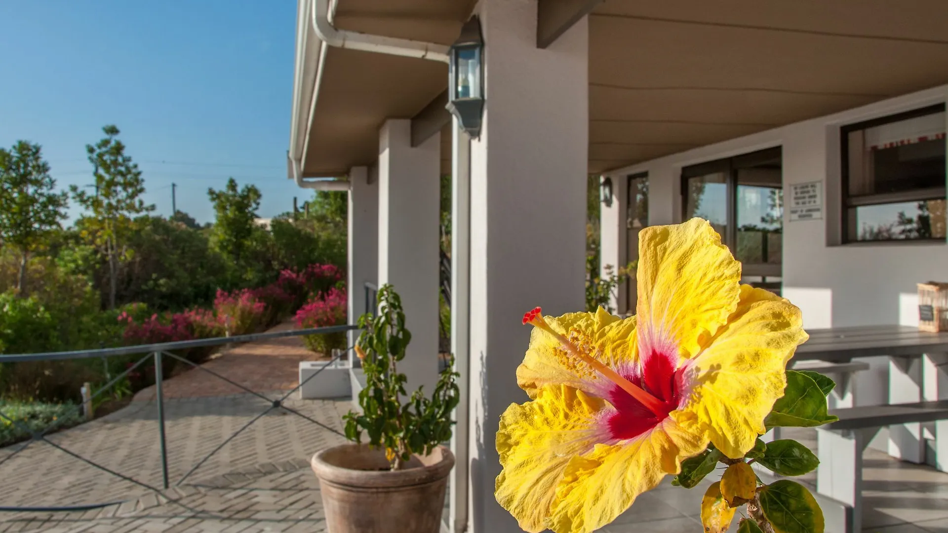 Wind-Rose Guest House Gordons Bay